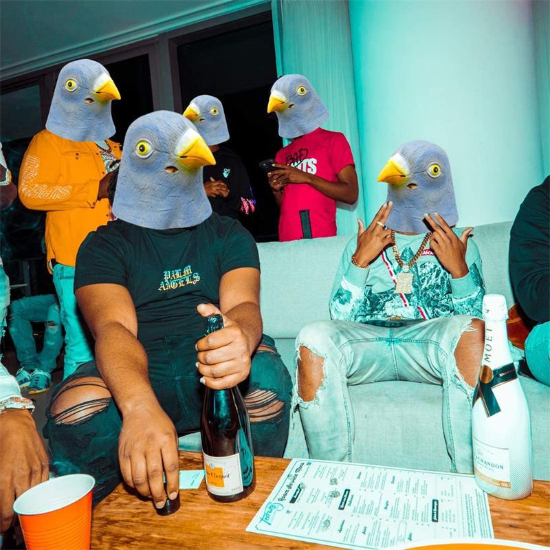 Pigeon Mask Costume Novelty Ha - Skincare Pigeon 评论和价格